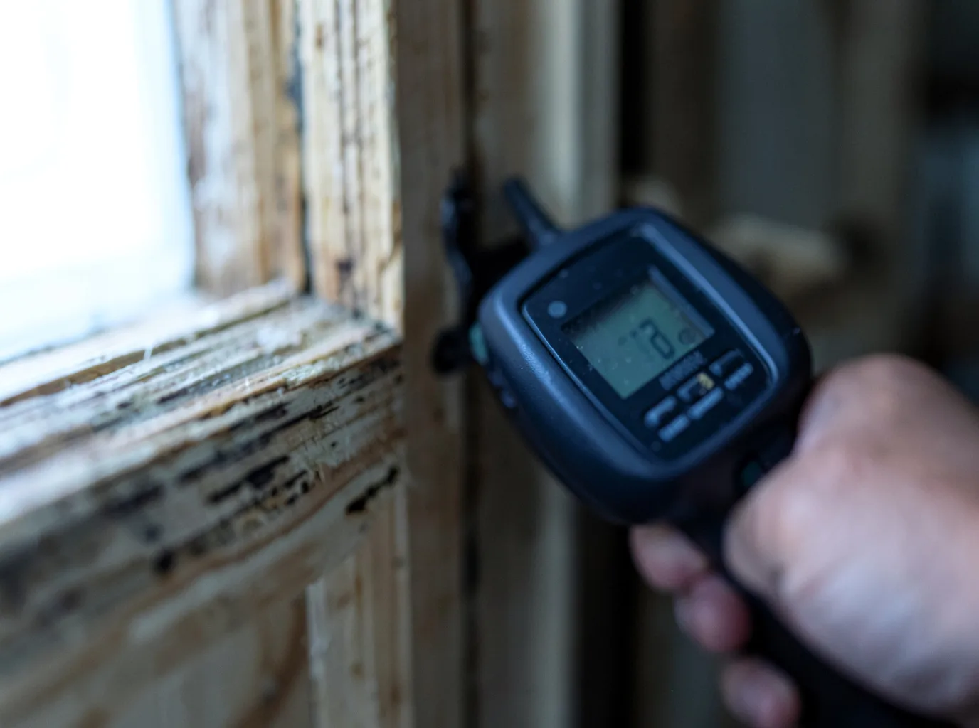 Moisture Inspection And Documentation in Honeyville, UT